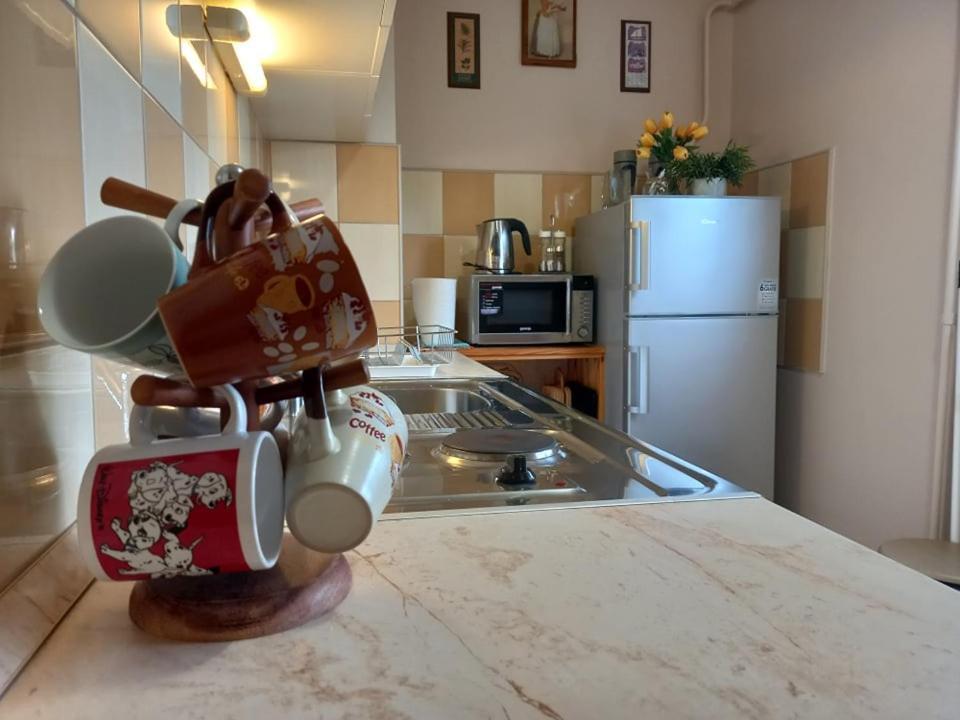 Zenit Apartman Makó Eksteriør billede